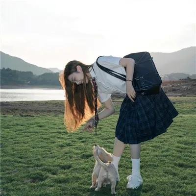 犯罪家谱